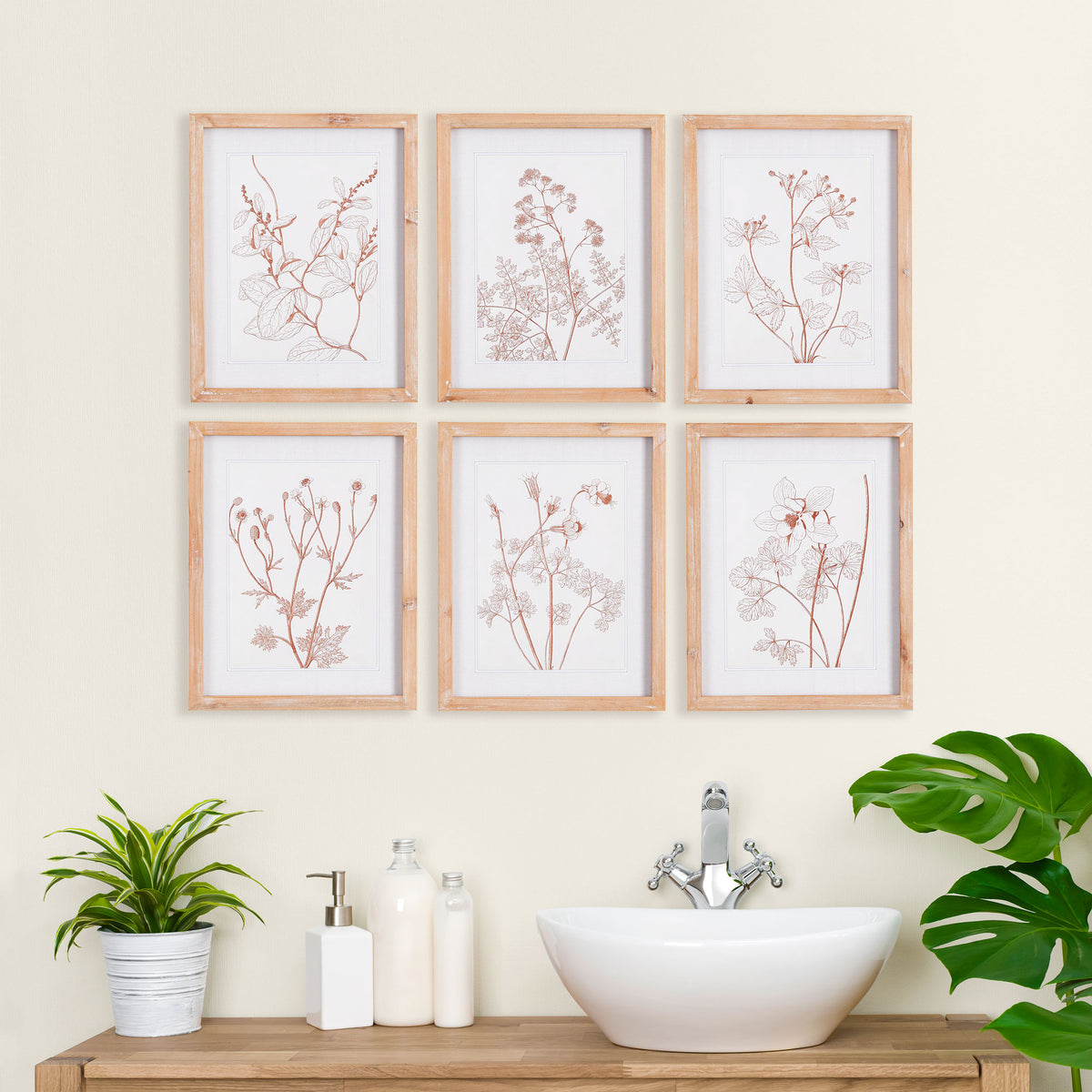Design Shop Botanicals In Blush Prints, Set Of 6