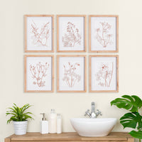 Design Shop Botanicals In Blush Prints, Set Of 6