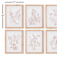 Design Shop Botanicals In Blush Prints, Set Of 6