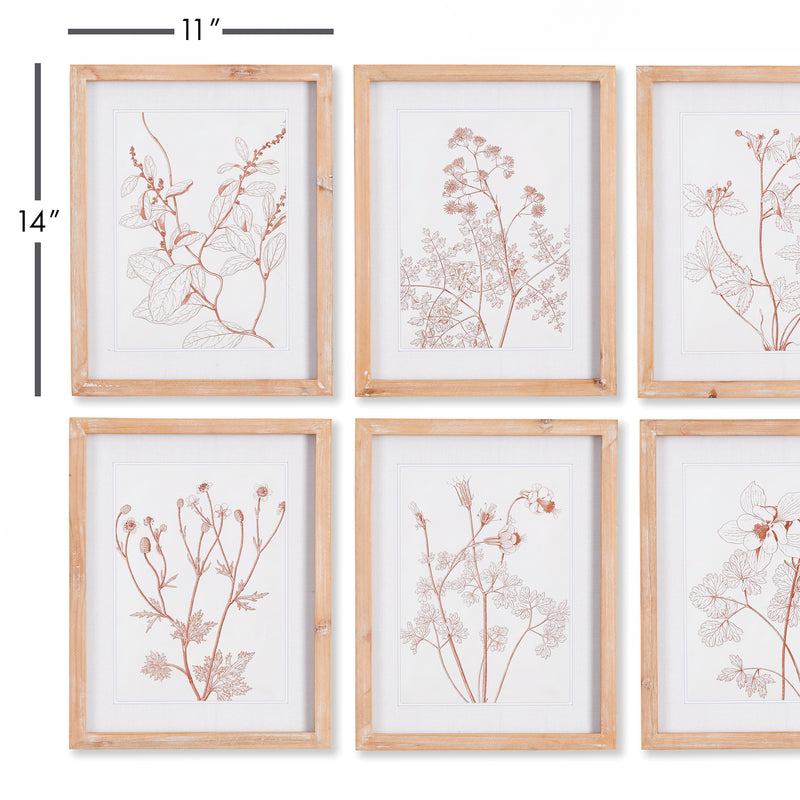 Design Shop Botanicals In Blush Prints, Set Of 6
