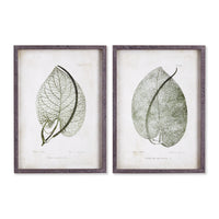 Design Shop Cordate Leaf Study, Set Of 2