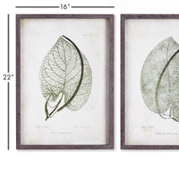 Design Shop Cordate Leaf Study, Set Of 2