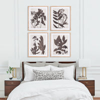 Design Shop Pressed Foliage Prints, Set Of 4