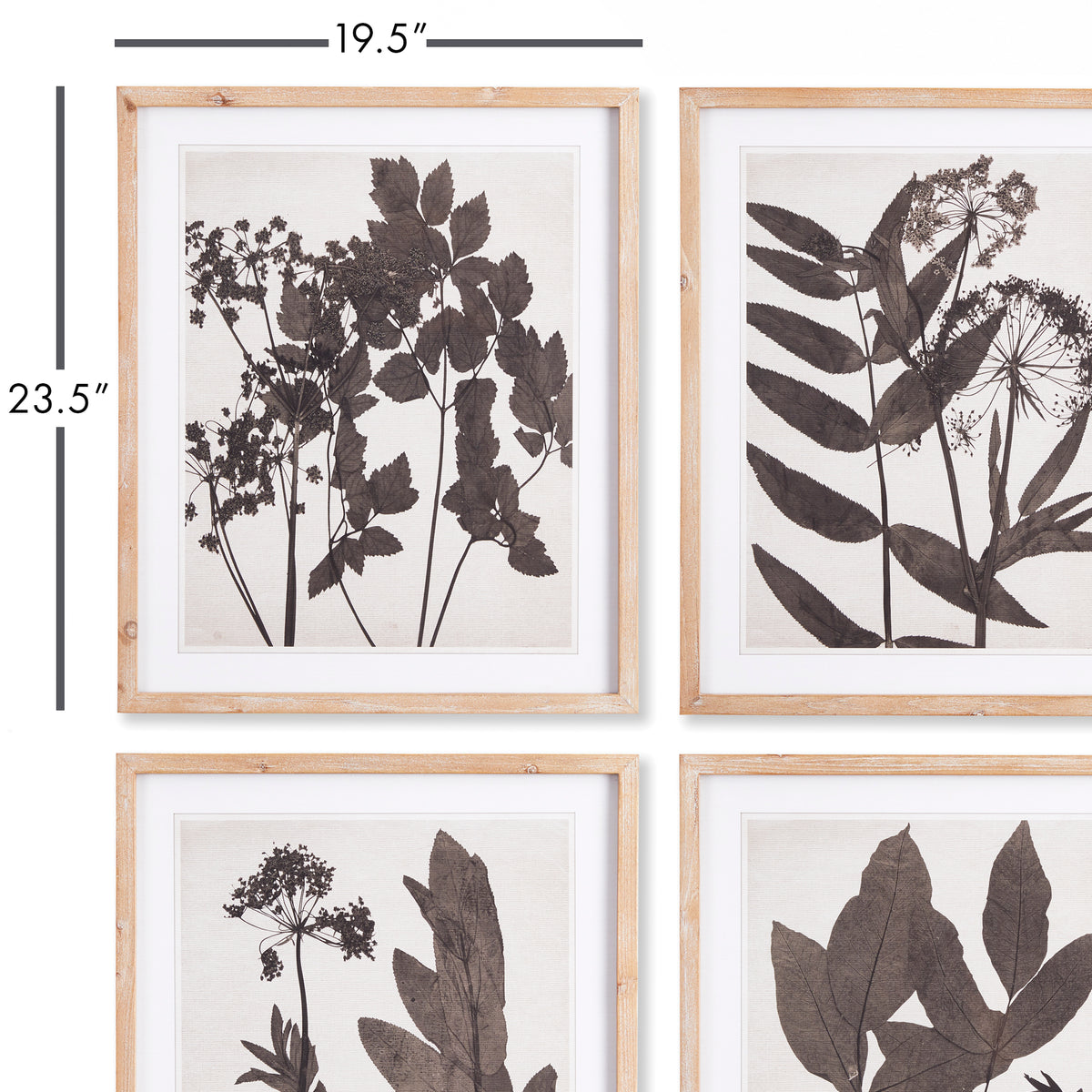Design Shop Pressed Foliage Prints, Set Of 4