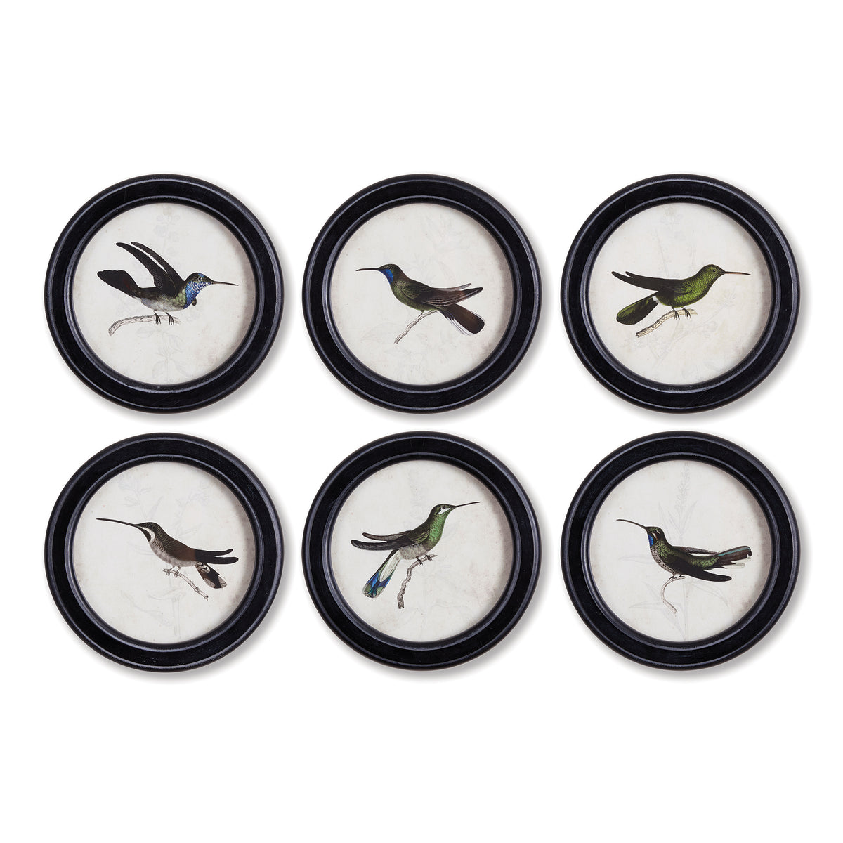 Design Shop Hummingbird Round Petite Prints, Set Of 6