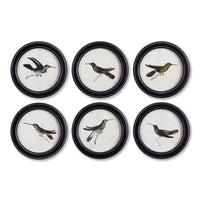 Design Shop Hummingbird Round Petite Prints, Set Of 6