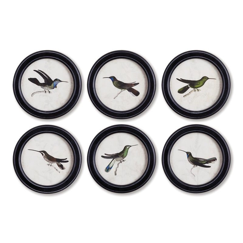 Design Shop Hummingbird Round Petite Prints, Set Of 6