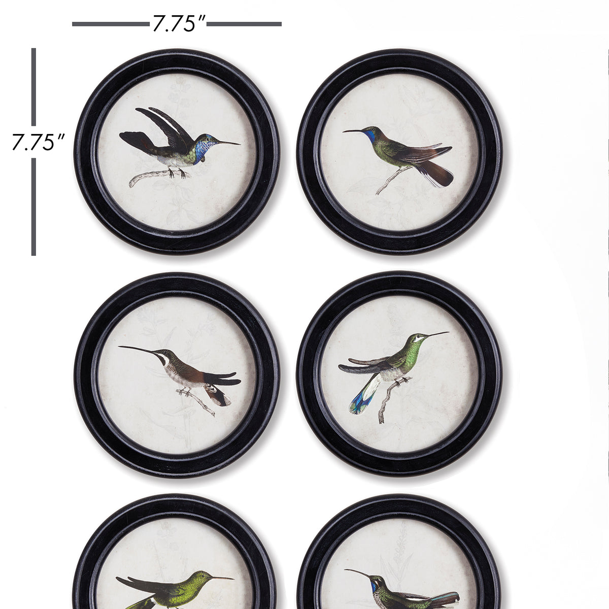 Design Shop Hummingbird Round Petite Prints, Set Of 6
