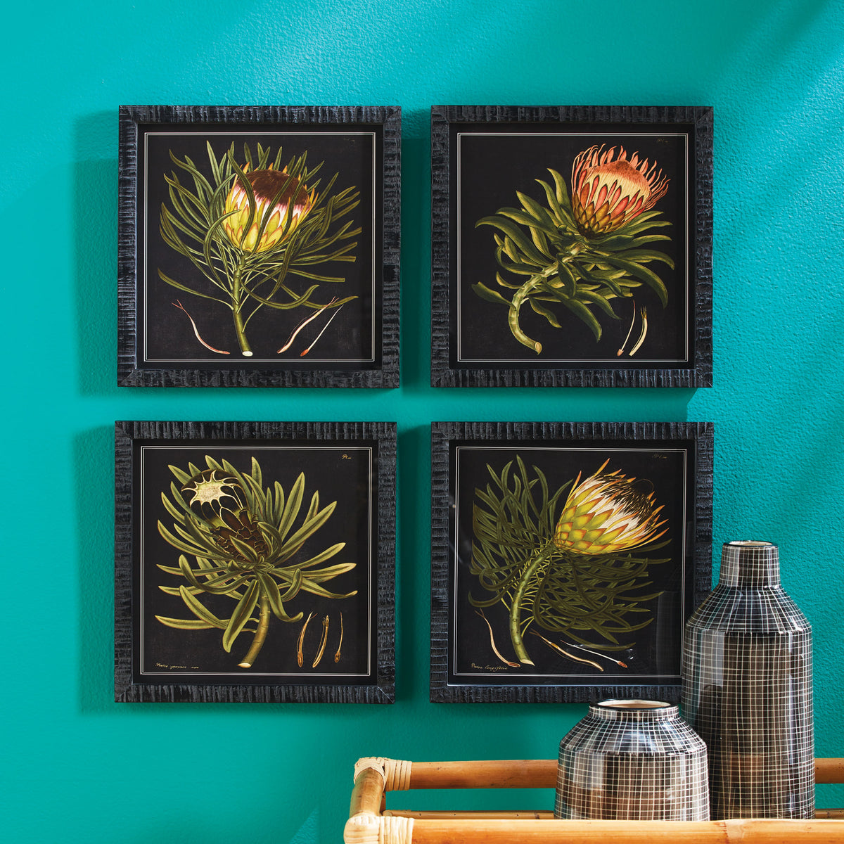 Design Shop Protea Petite Prints, Set Of 4