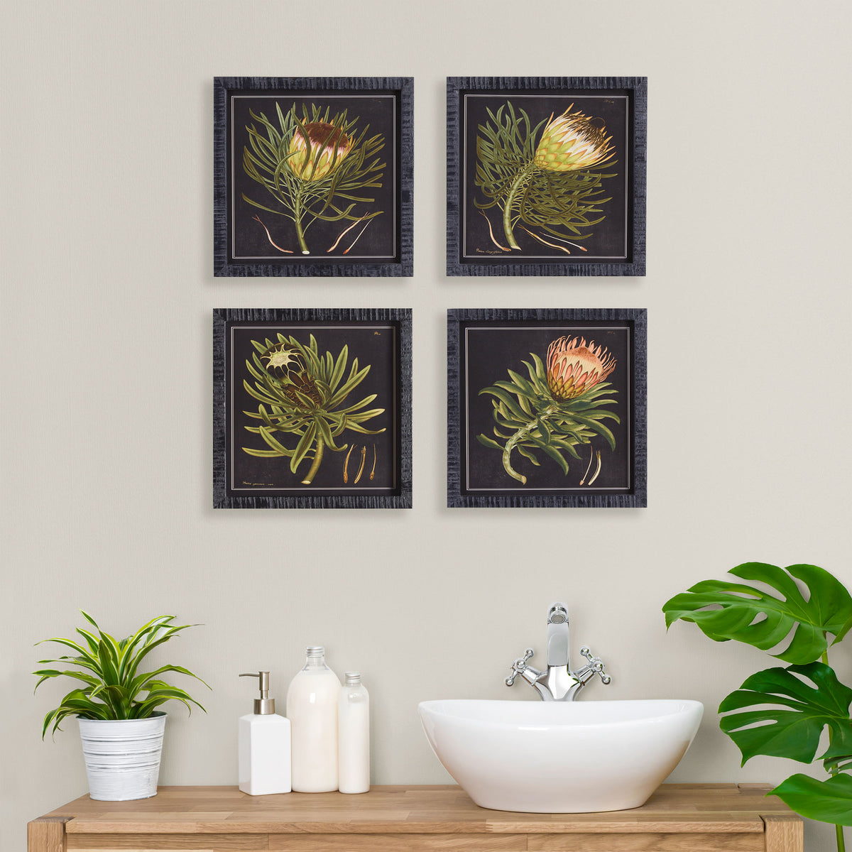 Design Shop Protea Petite Prints, Set Of 4