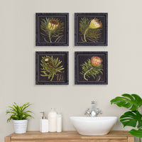 Design Shop Protea Petite Prints, Set Of 4