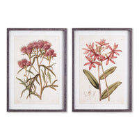 Design Shop Pretty In Pink Vintage Prints, Set Of 2