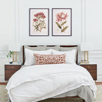 Design Shop Pretty In Pink Vintage Prints, Set Of 2