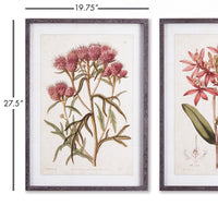 Design Shop Pretty In Pink Vintage Prints, Set Of 2