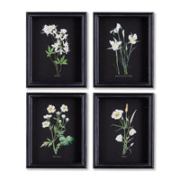 Design Shop Perennial Petite Prints, Set Of 4