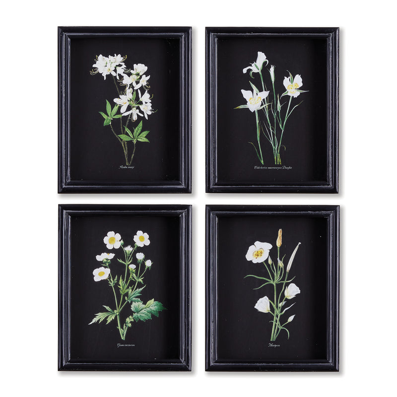 Design Shop Perennial Petite Prints, Set Of 4