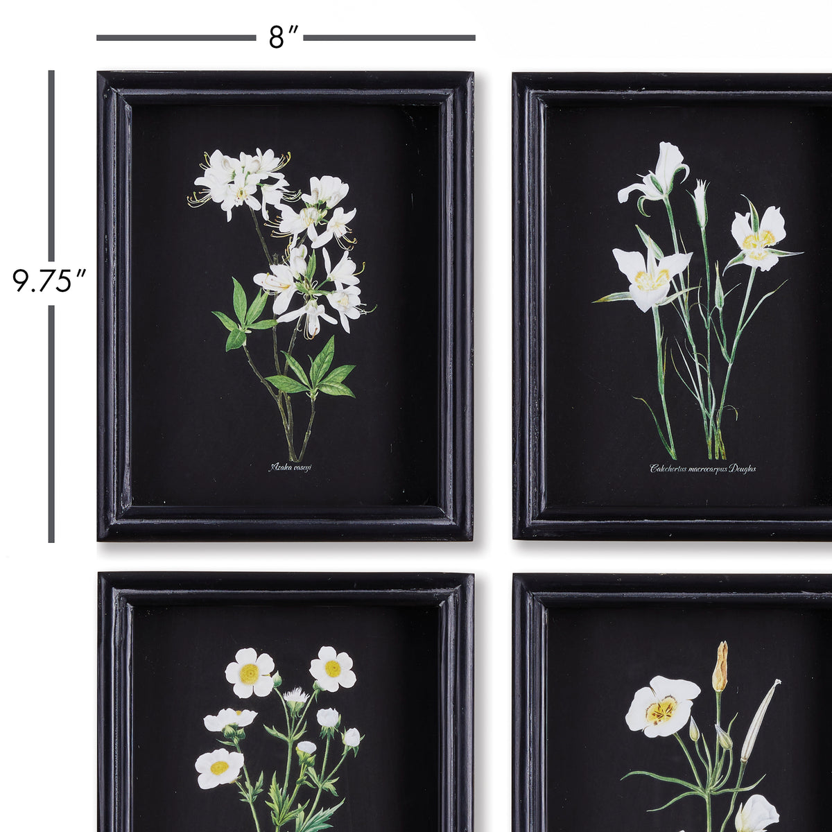 Design Shop Perennial Petite Prints, Set Of 4