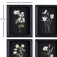 Design Shop Perennial Petite Prints, Set Of 4