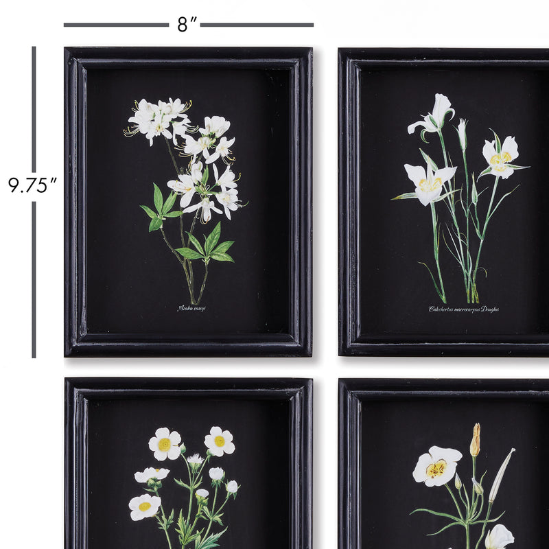 Design Shop Perennial Petite Prints, Set Of 4