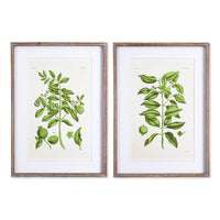 Design Shop Guava Prints, Set Of 2