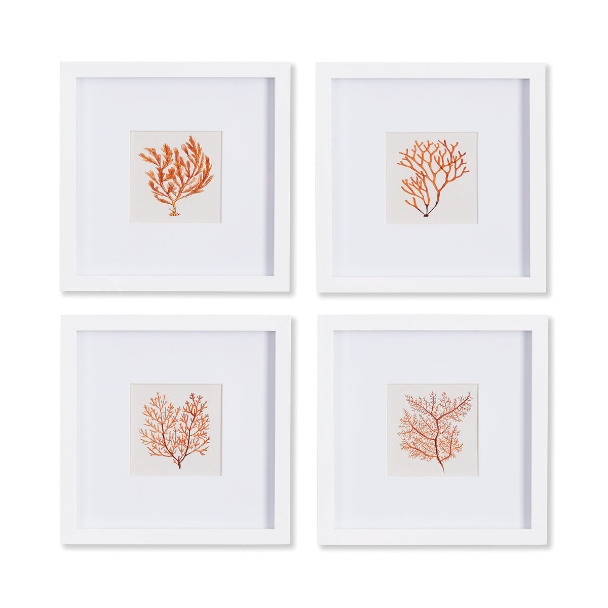 Design Shop Branch Coral Petite Prints, Set Of 4