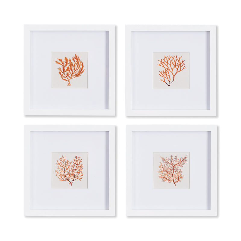 Design Shop Branch Coral Petite Prints, Set Of 4