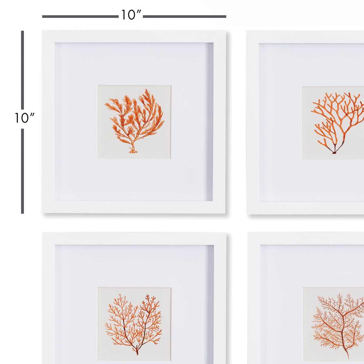 Design Shop Branch Coral Petite Prints, Set Of 4