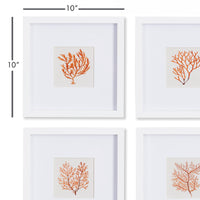 Design Shop Branch Coral Petite Prints, Set Of 4