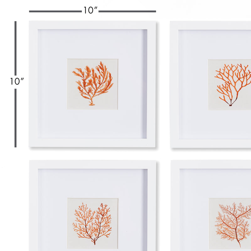Design Shop Branch Coral Petite Prints, Set Of 4