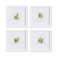 Design Shop Forest Greenery Petite Prints, Set Of 4