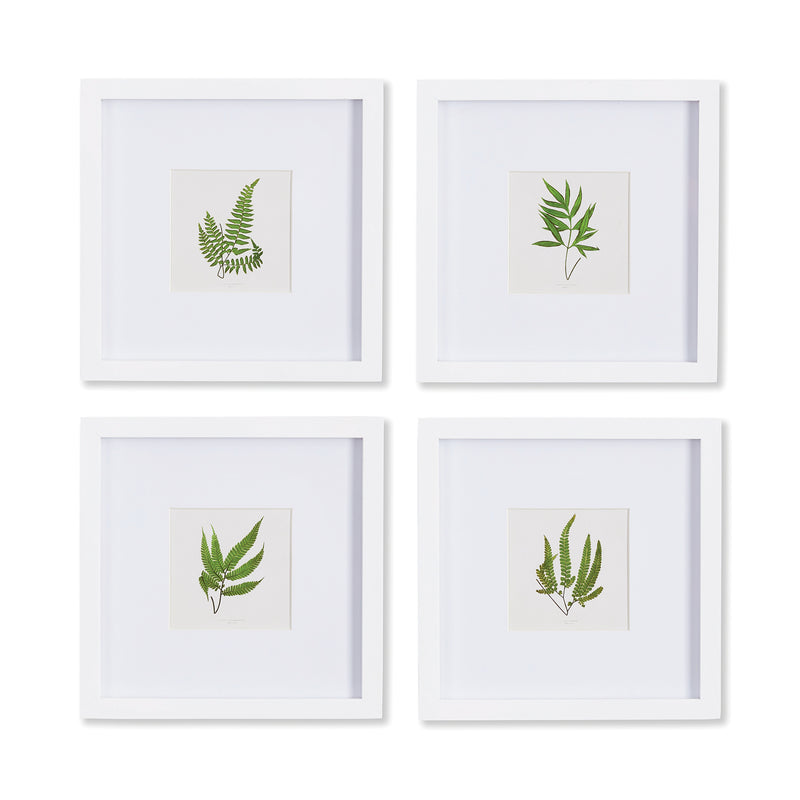 Design Shop Forest Greenery Petite Prints, Set Of 4