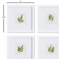 Design Shop Forest Greenery Petite Prints, Set Of 4