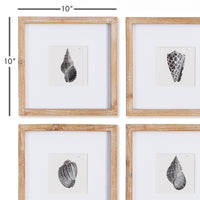 Design Shop Seashell Petite Prints, Set Of 4