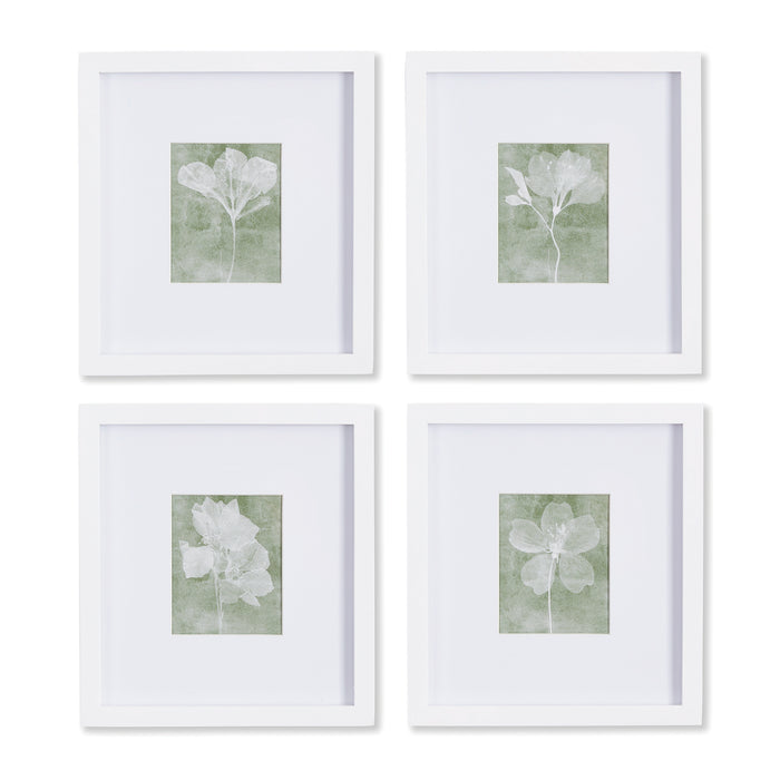 Design Shop Translucent Floral Petite Prints, Set Of 4