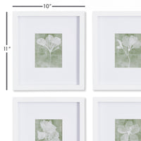 Design Shop Translucent Floral Petite Prints, Set Of 4
