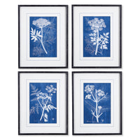 Design Shop Cyanotype Queen Annes Lace Prints, Set Of 4