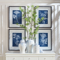 Design Shop Cyanotype Queen Annes Lace Prints, Set Of 4