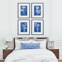 Design Shop Cyanotype Queen Annes Lace Prints, Set Of 4
