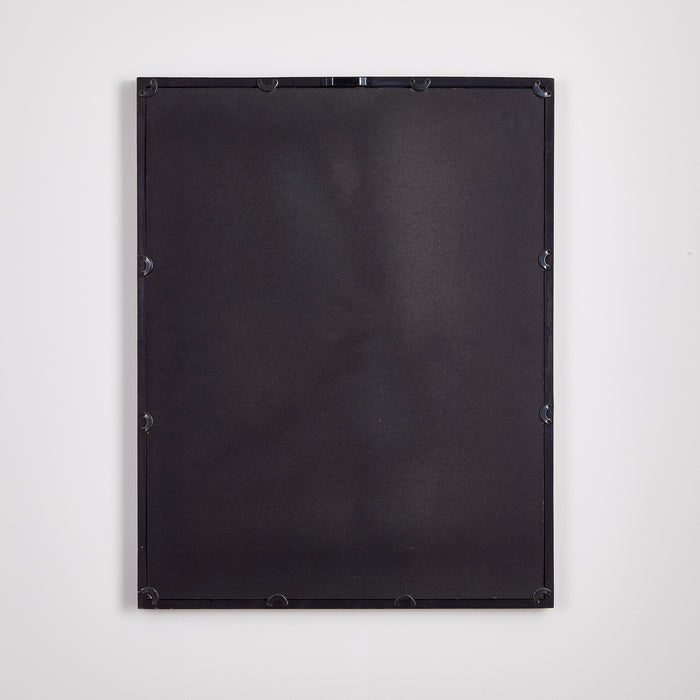 Design Shop Cyanotype Queen Annes Lace Prints, Set Of 4