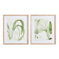 Design Shop Aquatic Leaf Prints, Set Of 2