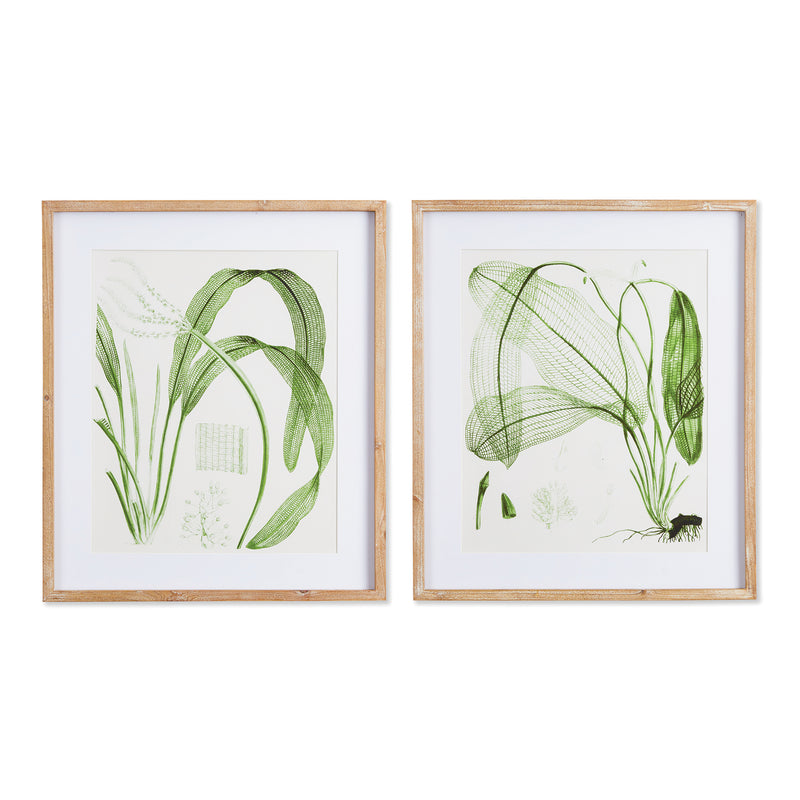 Design Shop Aquatic Leaf Prints, Set Of 2