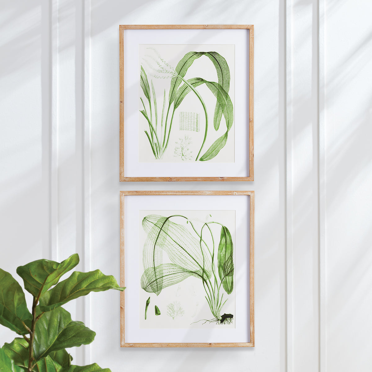 Design Shop Aquatic Leaf Prints, Set Of 2