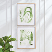 Design Shop Aquatic Leaf Prints, Set Of 2