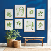 Design Shop Aquatic Leaf Prints, Set Of 2
