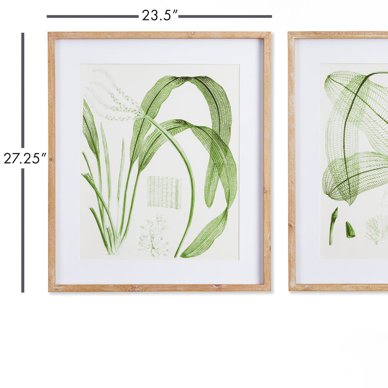 Design Shop Aquatic Leaf Prints, Set Of 2