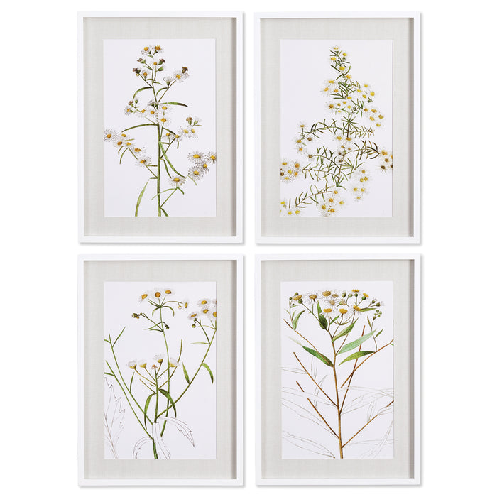 Design Shop Daisy Prints, Set Of 4