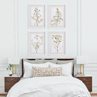Design Shop Daisy Prints, Set Of 4