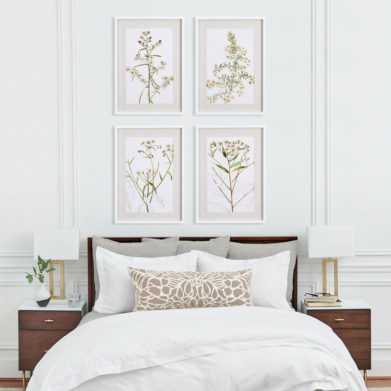 Design Shop Daisy Prints, Set Of 4