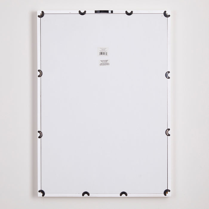 Design Shop Daisy Prints, Set Of 4