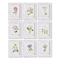 Design Shop Garden Meadow Study, Set Of 9